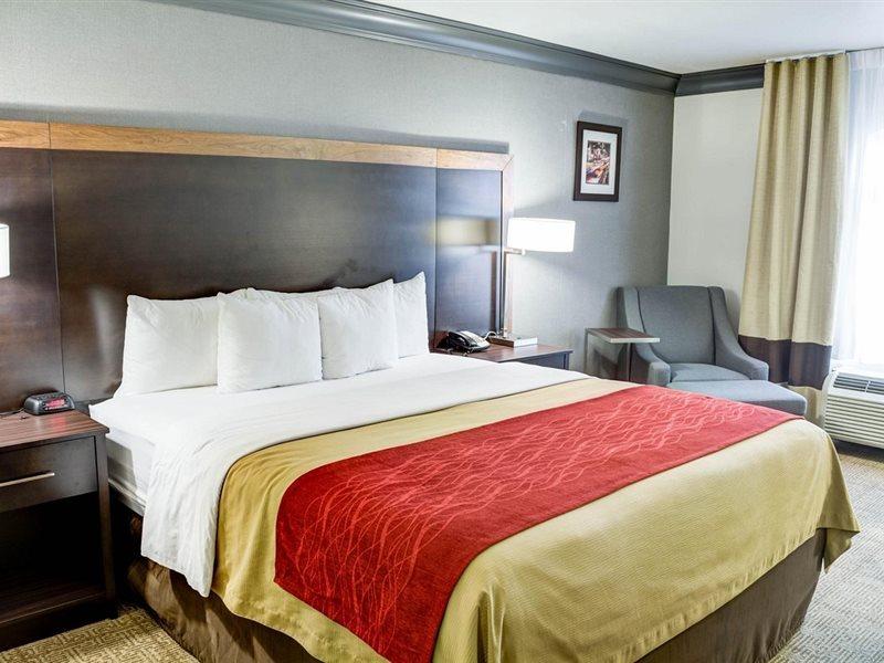 לוס אנג'לס Comfort Inn & Suites Near Universal - N Hollywood - Burbank מראה חיצוני תמונה