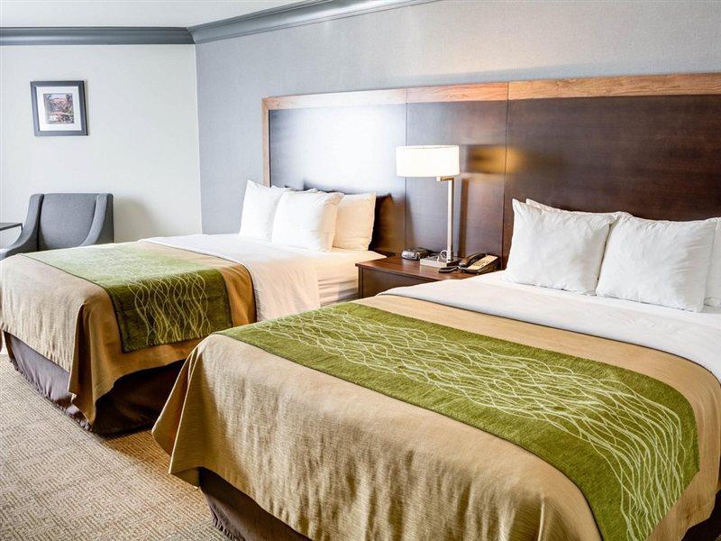 לוס אנג'לס Comfort Inn & Suites Near Universal - N Hollywood - Burbank מראה חיצוני תמונה
