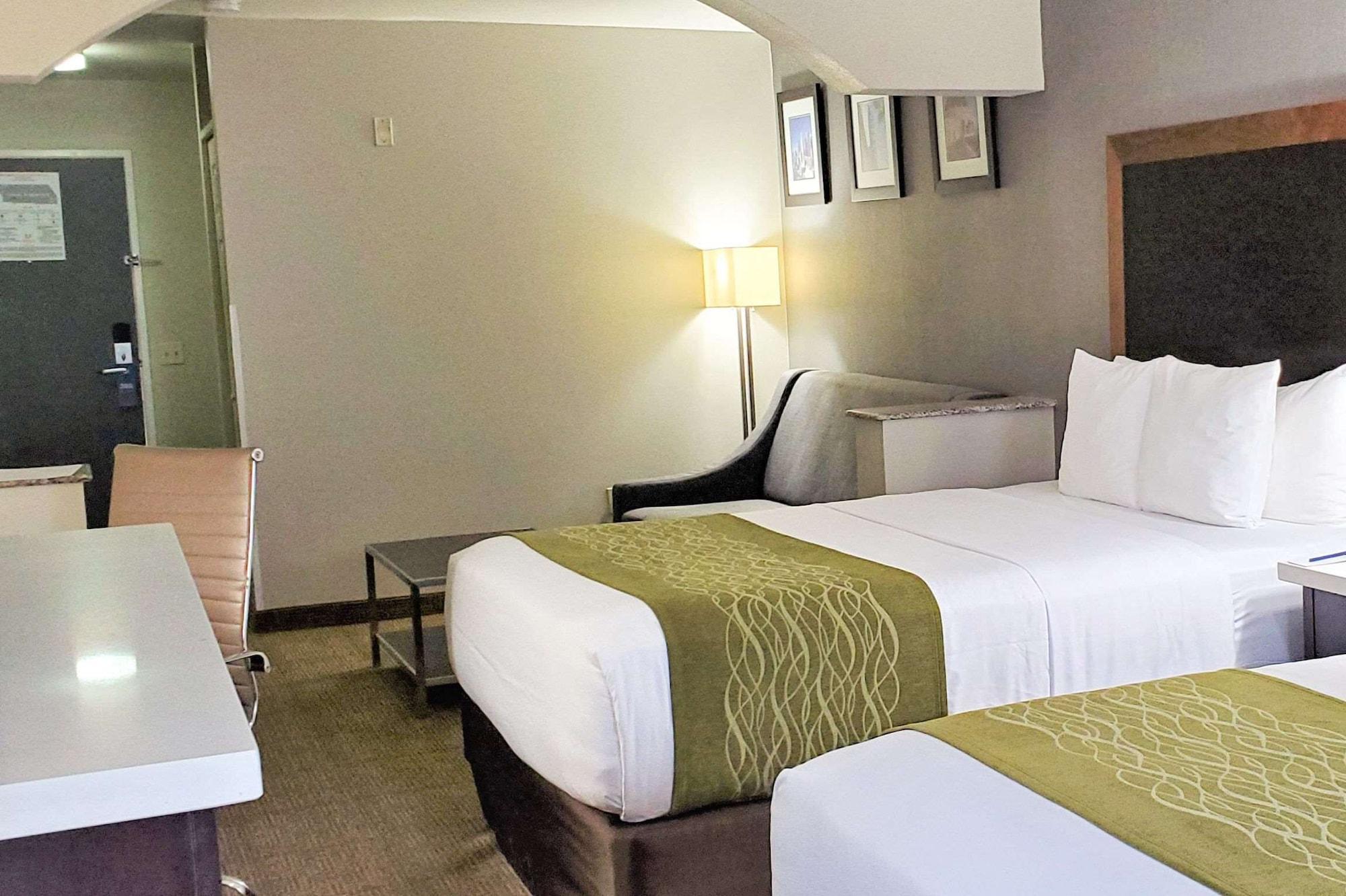 לוס אנג'לס Comfort Inn & Suites Near Universal - N Hollywood - Burbank מראה חיצוני תמונה