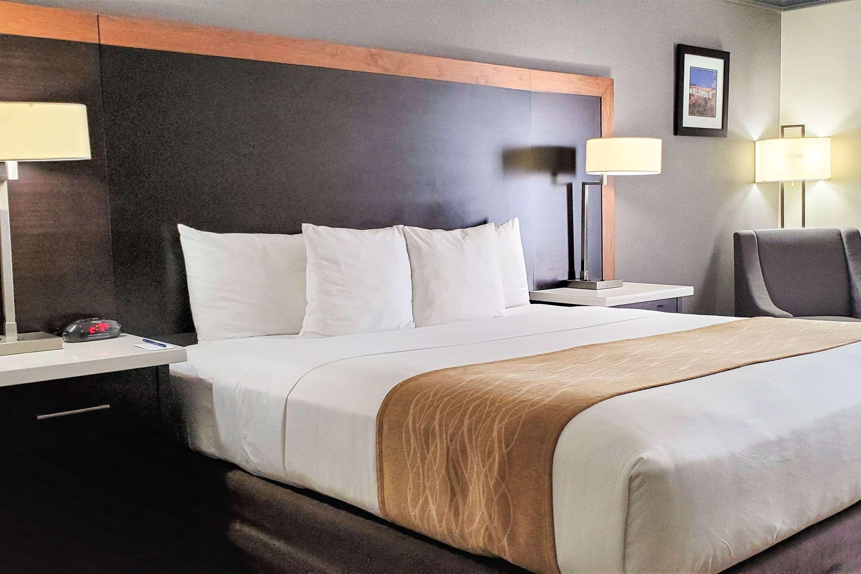 לוס אנג'לס Comfort Inn & Suites Near Universal - N Hollywood - Burbank מראה חיצוני תמונה